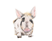 Load image into Gallery viewer, Pig