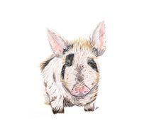 Load image into Gallery viewer, FARM LIFE - GIFT BOX PRINT SET