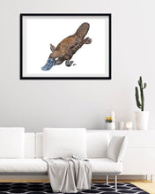 Load image into Gallery viewer, Platypus
