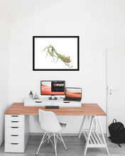 Load image into Gallery viewer, Praying Mantis