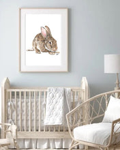 Load image into Gallery viewer, European Rabbit