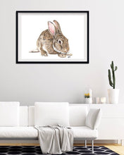 Load image into Gallery viewer, European Rabbit