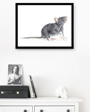 Load image into Gallery viewer, Rat