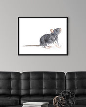 Load image into Gallery viewer, Rat