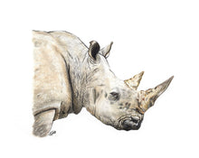 Load image into Gallery viewer, White Rhinoceros