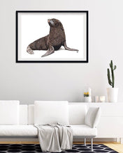 Load image into Gallery viewer, Galápagos Sea Lion