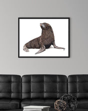 Load image into Gallery viewer, Galápagos Sea Lion