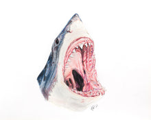 Load image into Gallery viewer, Great White Shark