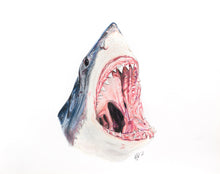 Load image into Gallery viewer, SEA LIFE - GIFT BOX PRINT SET