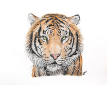 Load image into Gallery viewer, Siberian Tiger