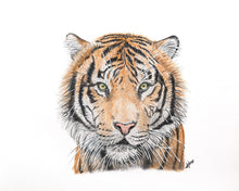 Load image into Gallery viewer, ENDANGERED ANIMALS - GIFT BOX PRINT SET
