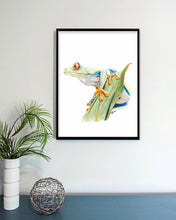 Load image into Gallery viewer, Red-eyed Tree Frog
