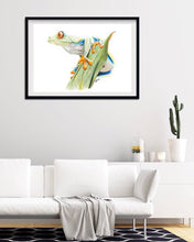Load image into Gallery viewer, Red-eyed Tree Frog