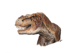 Load image into Gallery viewer, Tyrannosaurus Rex