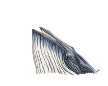 Load image into Gallery viewer, SEA LIFE - GIFT BOX PRINT SET