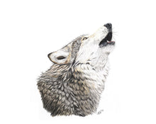 Load image into Gallery viewer, Grey Wolf