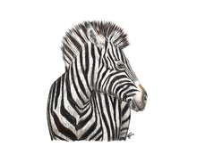 Load image into Gallery viewer, ENDANGERED ANIMALS - GIFT BOX PRINT SET