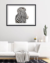 Load image into Gallery viewer, Imperial Zebra
