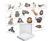 Load image into Gallery viewer, AFRICA - GIFT BOX PRINT SET

