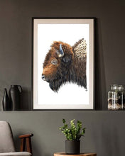 Load image into Gallery viewer, American Bison
