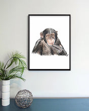 Load image into Gallery viewer, Chimpanzee
