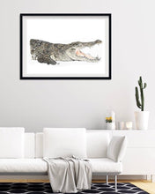 Load image into Gallery viewer, Saltwater Crocodile

