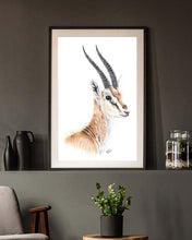 Load image into Gallery viewer, Thomson&#39;s gazelle
