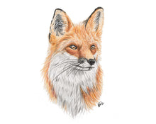 Load image into Gallery viewer, Red Fox
