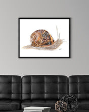 Load image into Gallery viewer, Garden Snail
