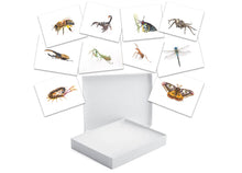 Load image into Gallery viewer, INSECTS - GIFT BOX PRINT SET
