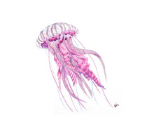 Load image into Gallery viewer, Mauve Stinger Jellyfish
