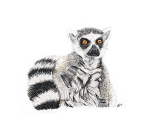 Load image into Gallery viewer, Ring-Tailed Lemur
