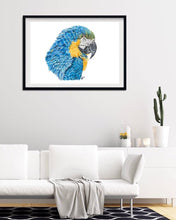 Load image into Gallery viewer, Blue-and-gold Macaw
