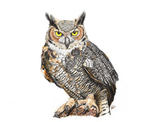 Load image into Gallery viewer, Great Horned Owl
