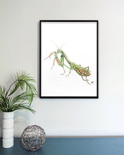 Load image into Gallery viewer, Praying Mantis
