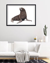 Load image into Gallery viewer, Galápagos Sea Lion
